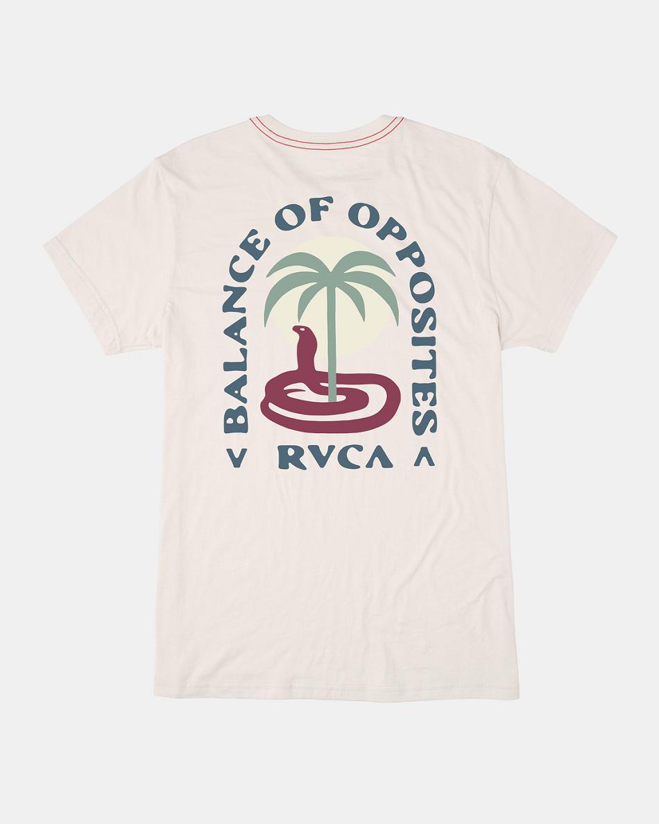 Camiseta Tirantes Rvca Cobra Mirage Niño Marrones | CONEJ53655