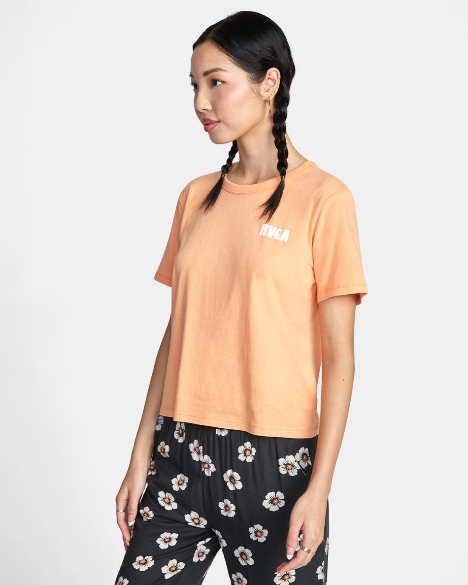 Camiseta Tirantes Rvca Daylight Estampadas Mujer Melon | COIIZ55638