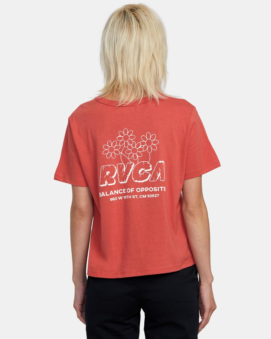 Camiseta Tirantes Rvca Gardener Estampadas Mujer Rojas | CONZX74395