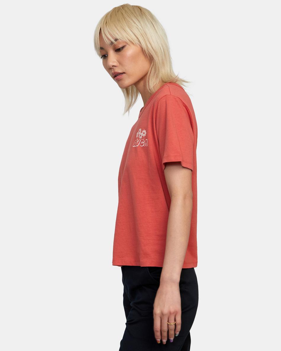 Camiseta Tirantes Rvca Gardener Estampadas Mujer Rojas | CONZX74395