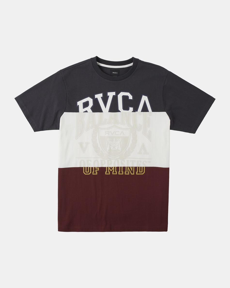 Manga corta Rvca Compilation T-Shirt Hombre Multi | COQAV82185