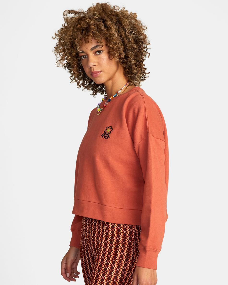 Ropa De Casa Rvca Vibe Terry Pullover Mujer Cinnamon | COEGJ33778