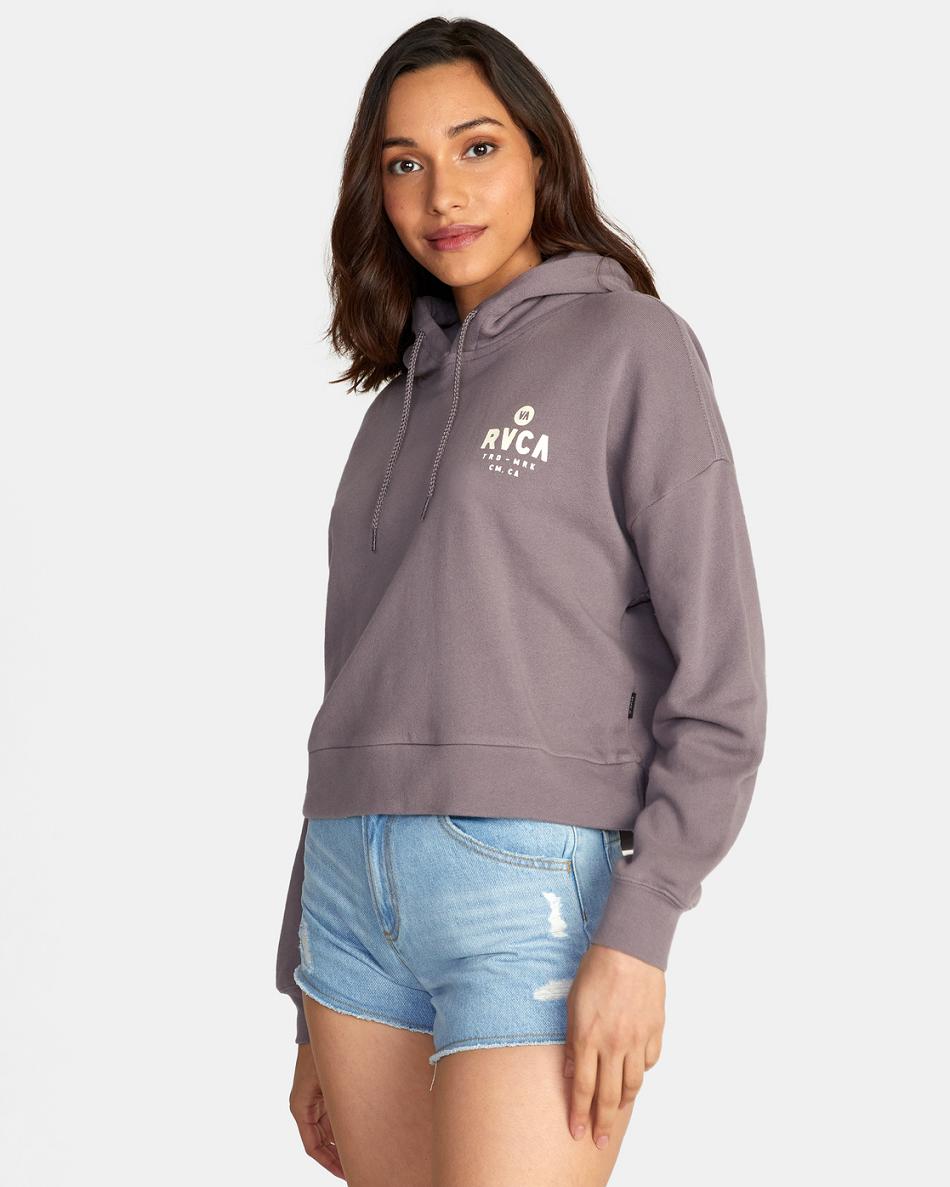 Sudadera Con Capucha Rvca All Day Pullover Mujer Shark | TCOPQ50127