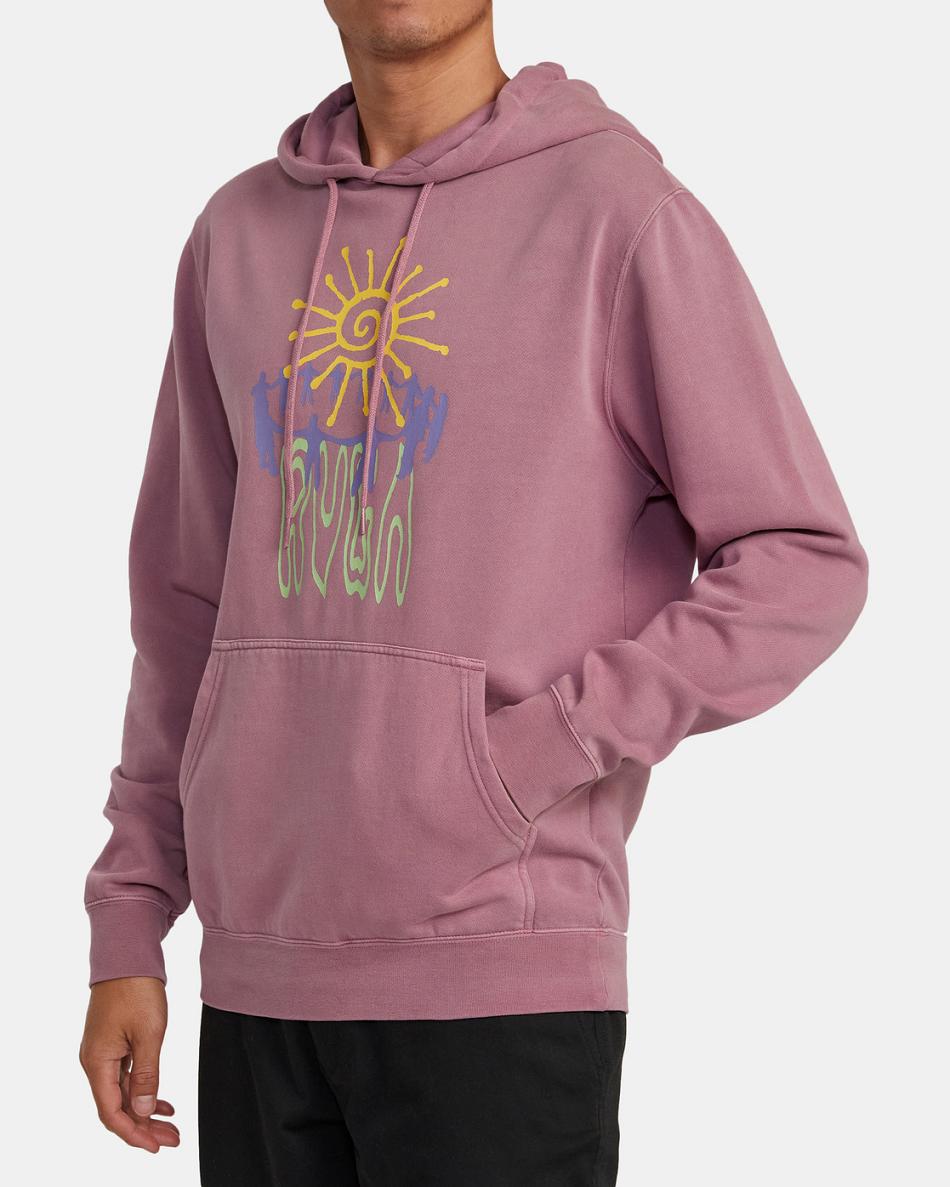 Sudadera Con Capucha Rvca Sun Worship Hombre Lavanda | COJVR68948