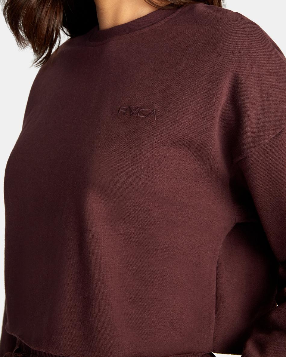 Sudadera Con Capucha Rvca Test Drive Cropped Mujer Espresso | XCOBH27856