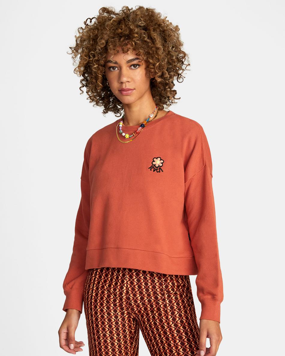 Sudadera Con Capucha Rvca Vibe Terry Pullover Mujer Cinnamon | LCOTR32954