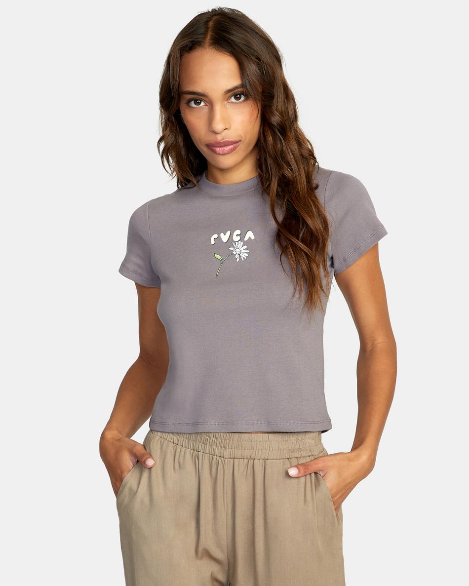 T shirts Rvca Better Dayz Estampadas Mujer Shark | ECOHC10699