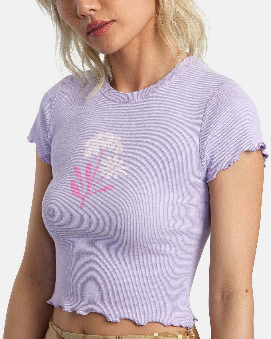 T shirts Rvca Bloomed Classmate Mujer Lavanda | PCOER28961