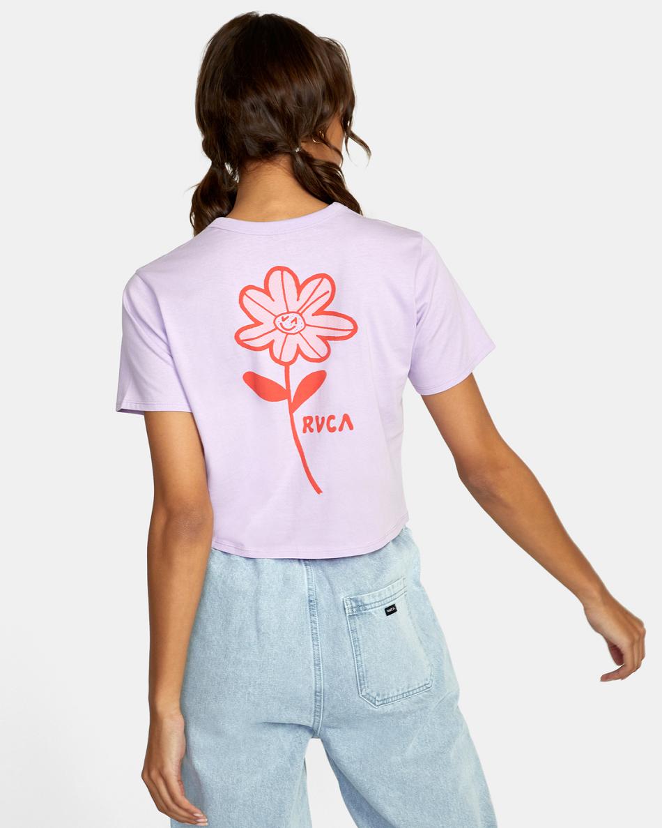 T shirts Rvca Happy Daisy Pocket Mujer Lavanda | ZCOMJ71362