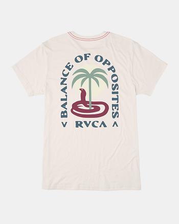 Camiseta Tirantes Rvca Cobra Mirage Niño Marrones | CONEJ53655