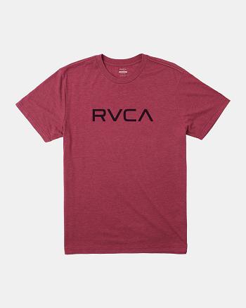 Manga corta Rvca Big RVCA Tee Hombre Rosas | ECOHC96163