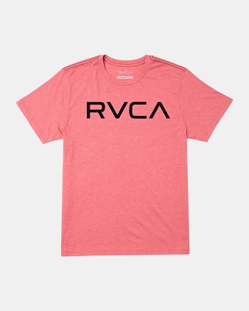 Manga corta Rvca Big RVCA Tee Hombre Rosas | GCOUC63325