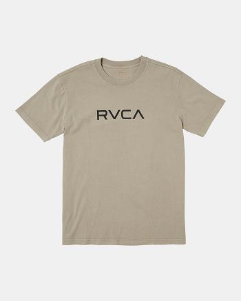 Manga corta Rvca Big RVCA Washed Tee Hombre Mushroom | COXMI10441