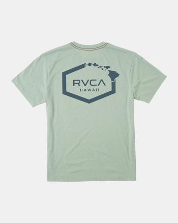 Manga corta Rvca Hawaii Hex Tee Hombre Verde | BCOSD24663