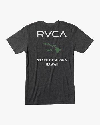 Manga corta Rvca State Of Aloha Tee Hombre Black/Green | UCOTG95786