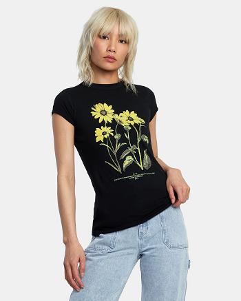 T shirts Rvca Botanical Naughty Mujer Negras | ECOHC50852