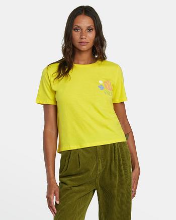 T shirts Rvca Cuttings Mujer Guava | COZPD23246