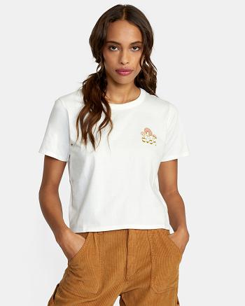 T shirts Rvca Fungi Boxed Mujer Blancas | TCOWZ23137