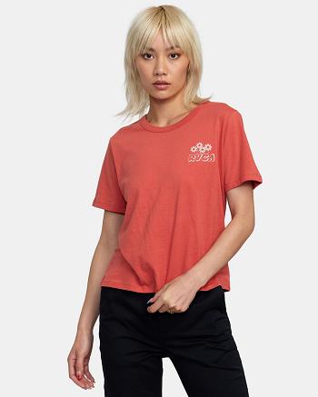 T shirts Rvca Gardener Estampadas Mujer Rojas | DCOKV44725