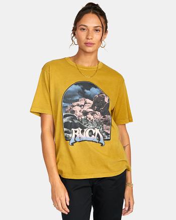 T shirts Rvca Moonscape Estampadas Mujer Bronze | ECOHC29861